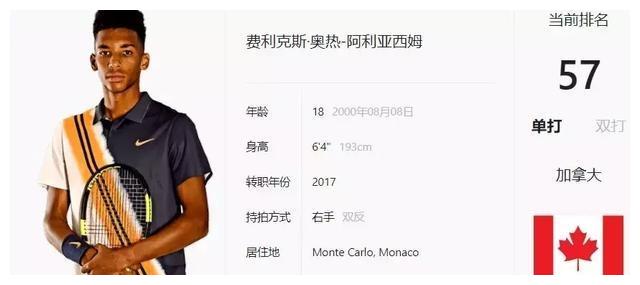 他们可以在 他们可以在